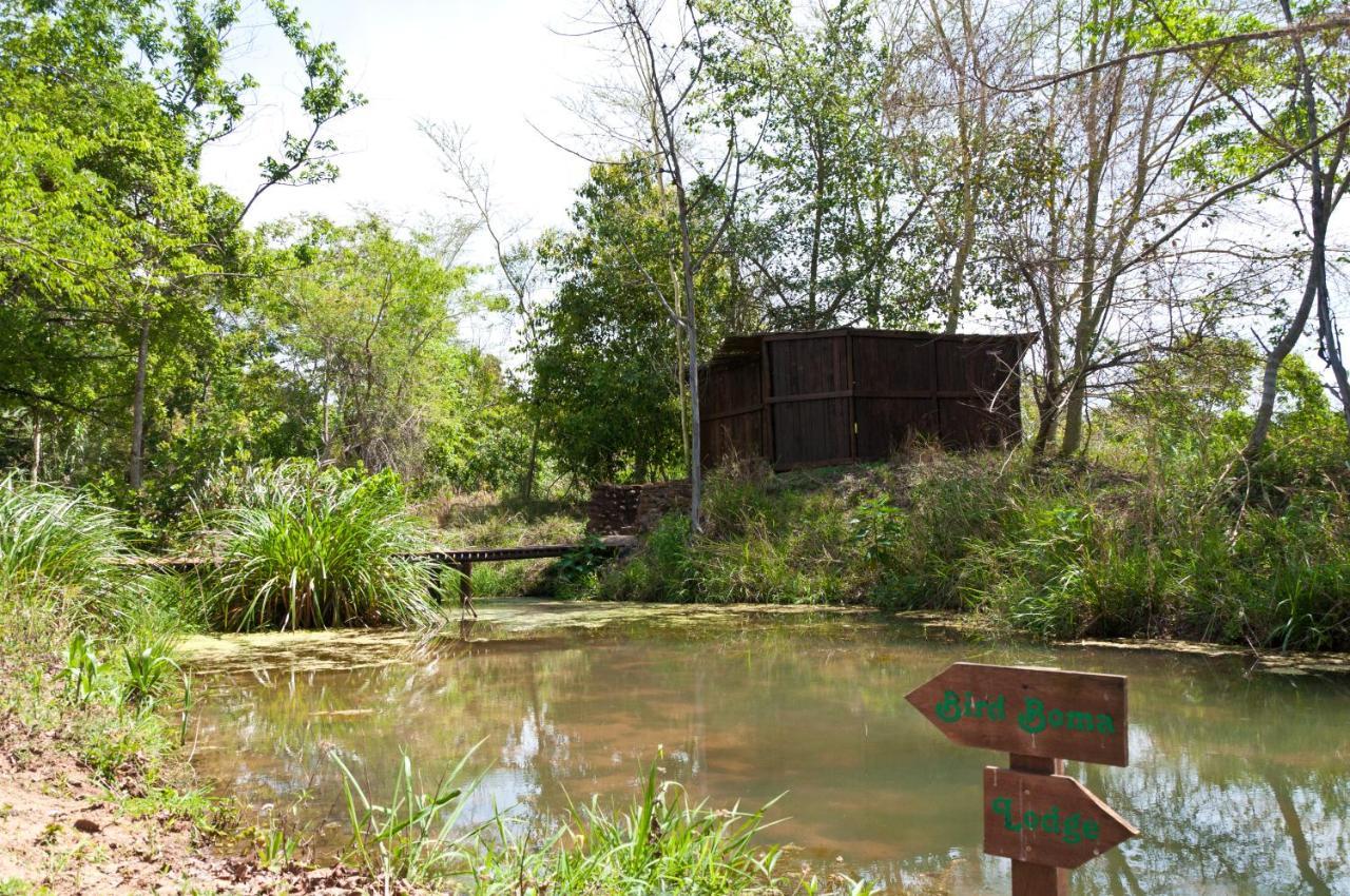 Greenfire Hazyview Lodge Εξωτερικό φωτογραφία